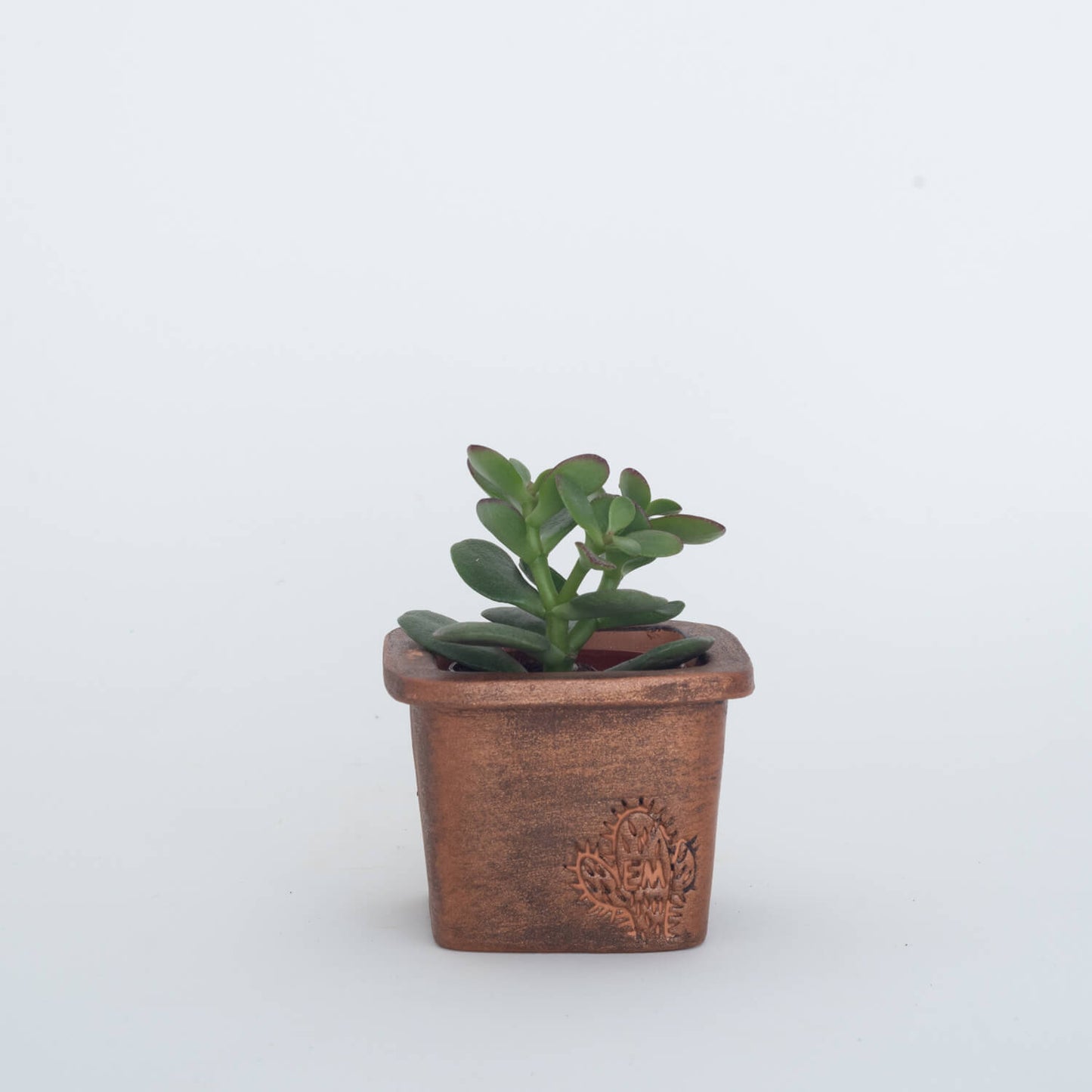 VASO QUADRADO MINI 6x6 - AREADO