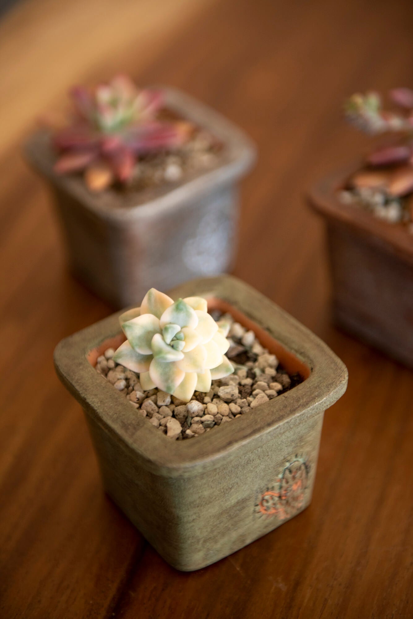 VASO QUADRADO MINI 6x6 - AREADO