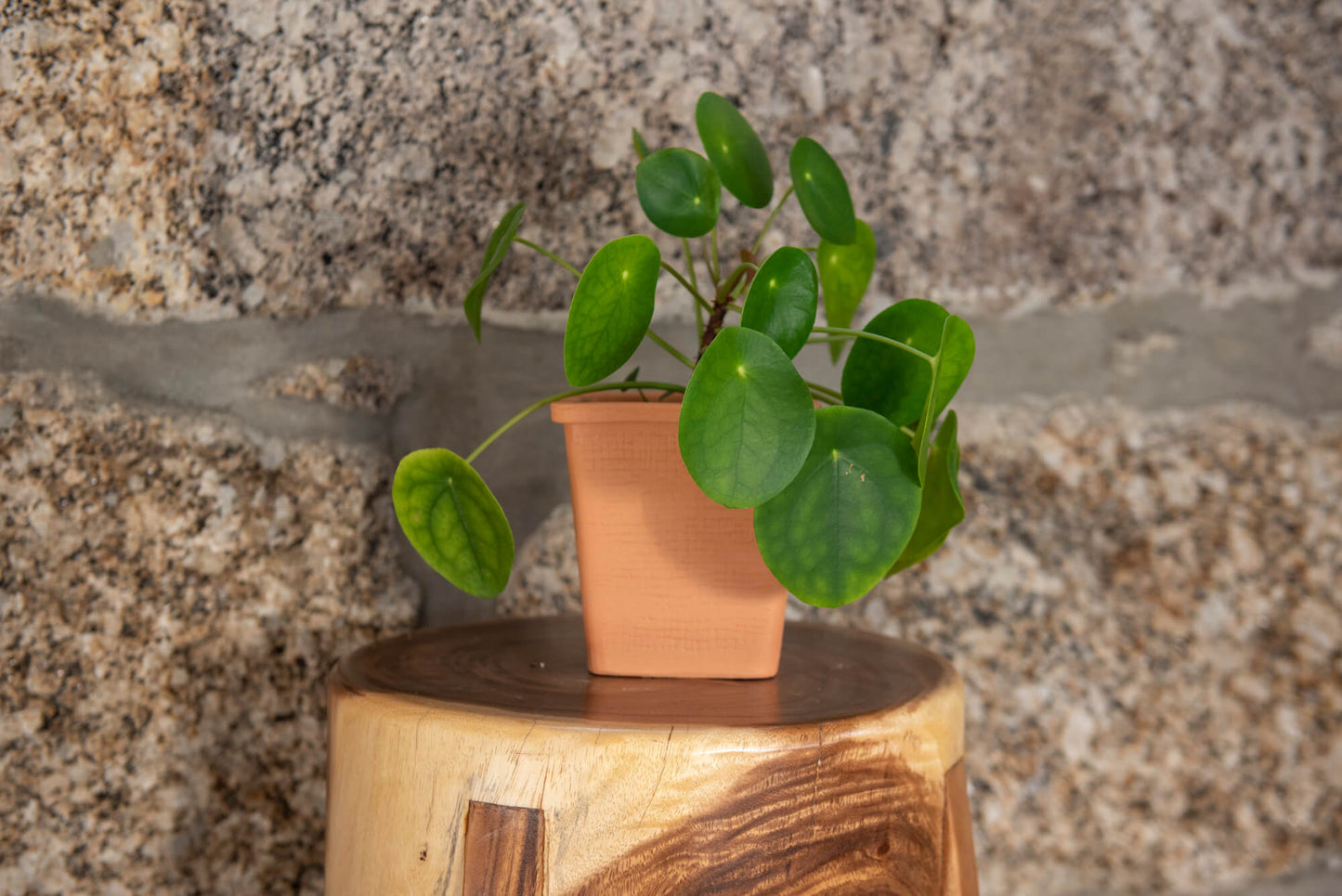 VASO QUADRADO MÉDIO 14x14 - RATTAN TERRACOTA
