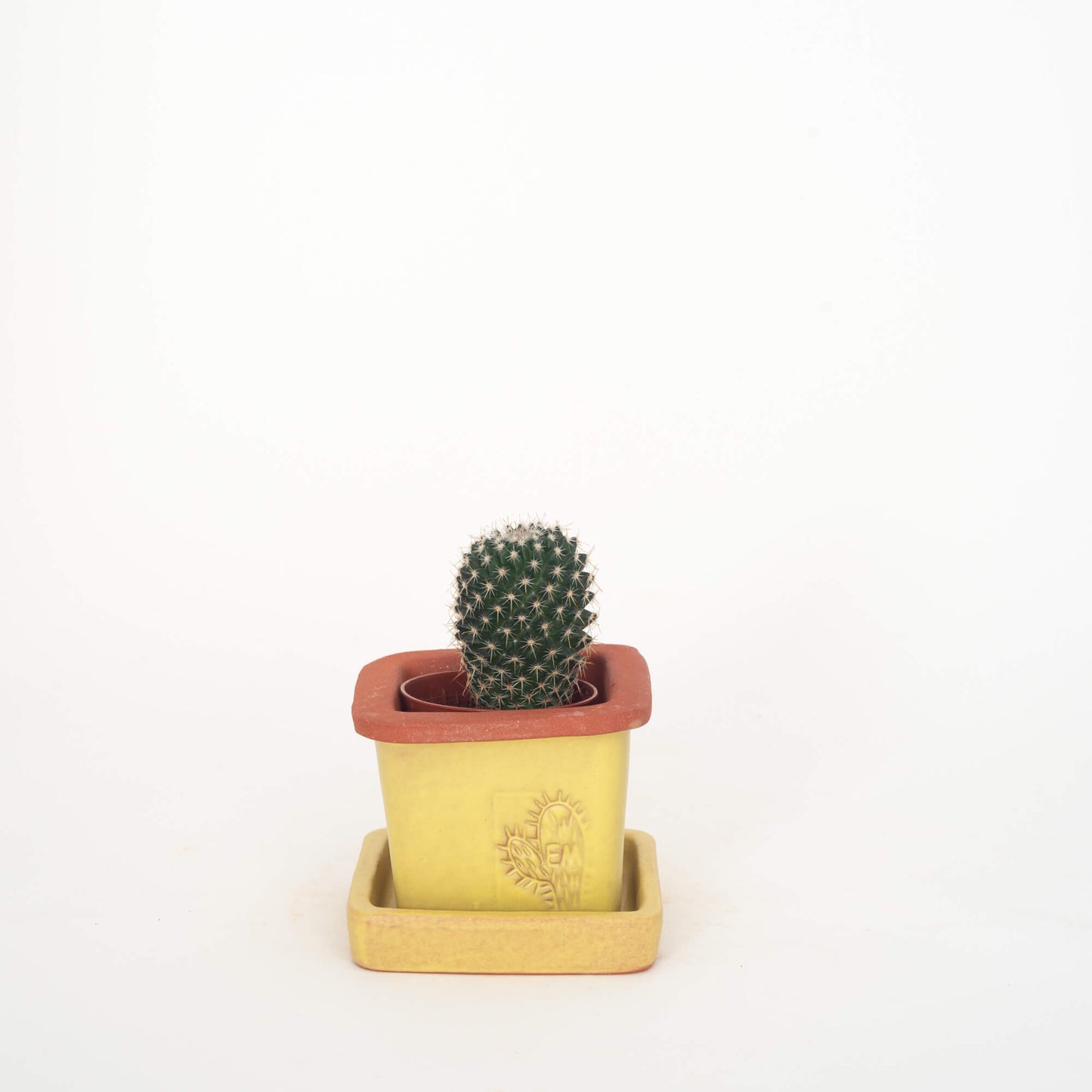 VASO QUADRADO MINI 6x6 - FUSÃO