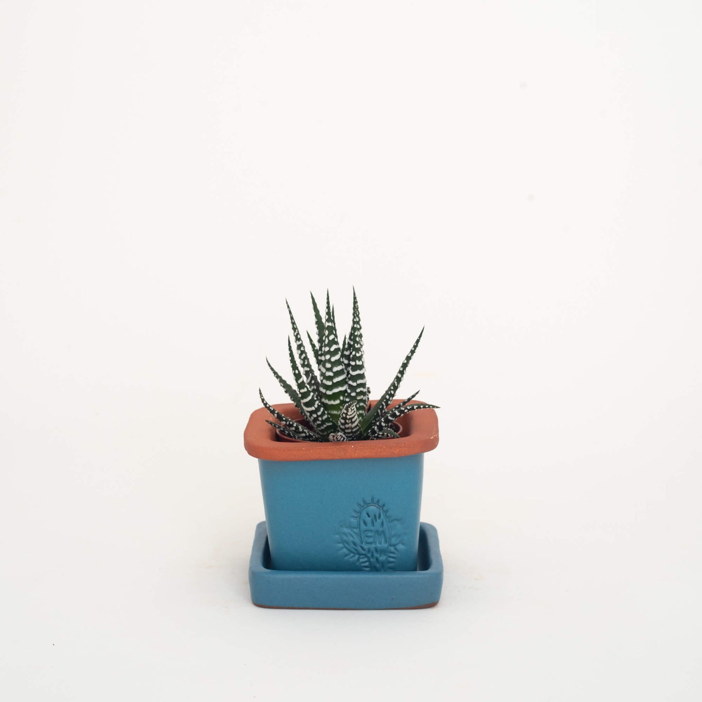 VASO QUADRADO MINI 6x6 - FUSÃO