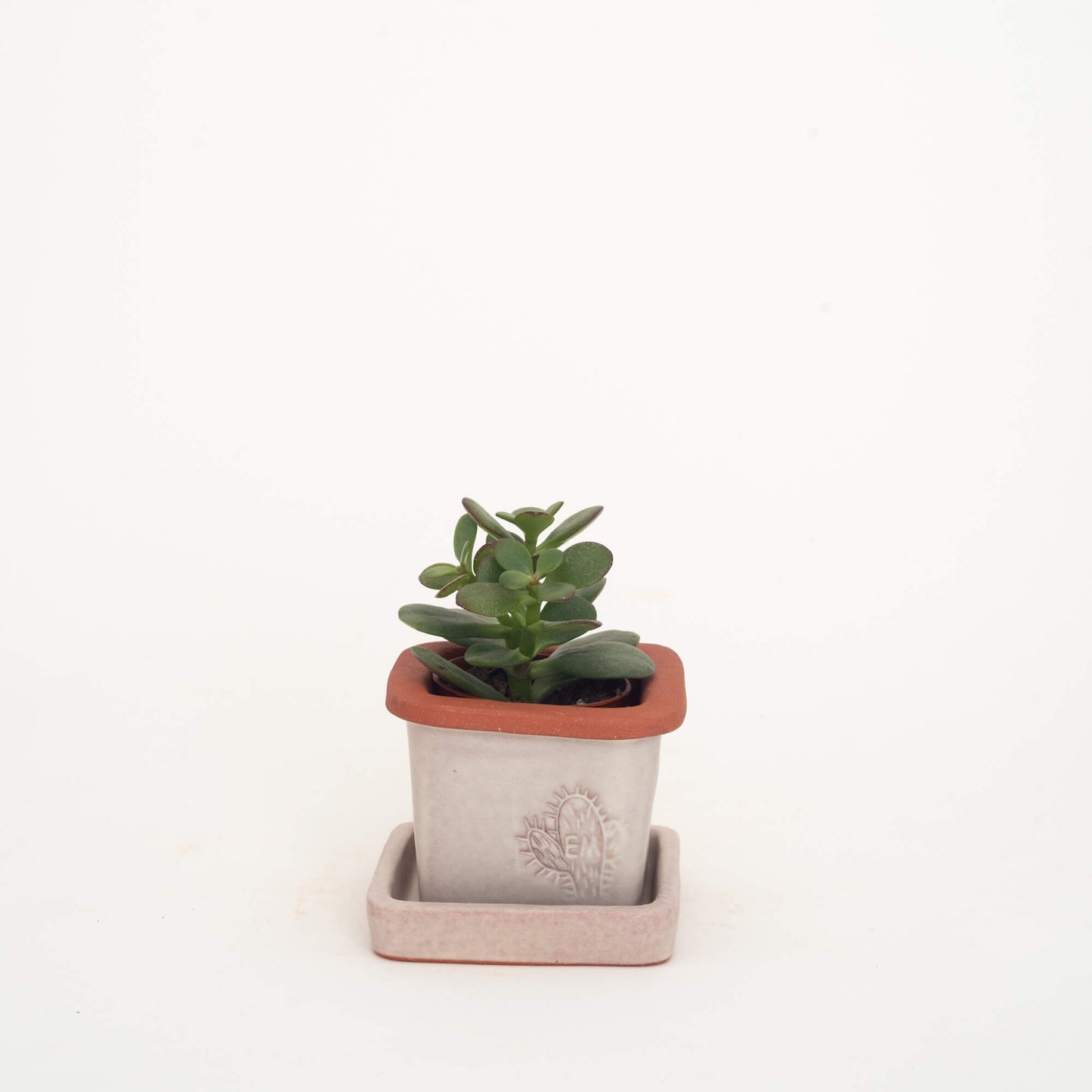 VASO QUADRADO MINI 6x6 - FUSÃO