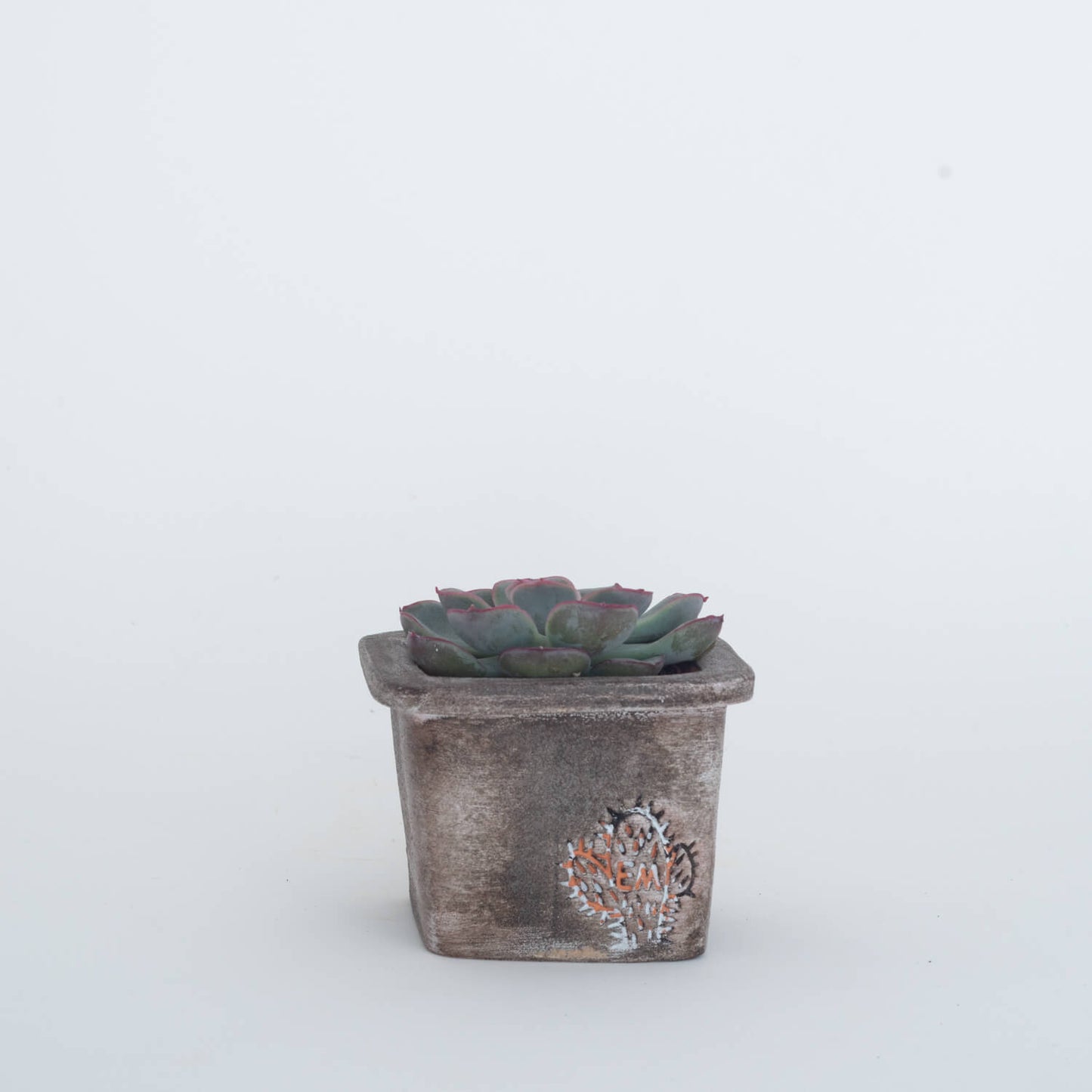VASO QUADRADO MINI 6x6 - AREADO
