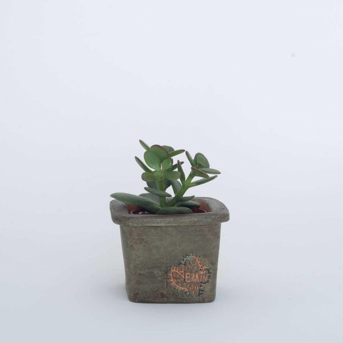 VASO QUADRADO MINI 6x6 - AREADO